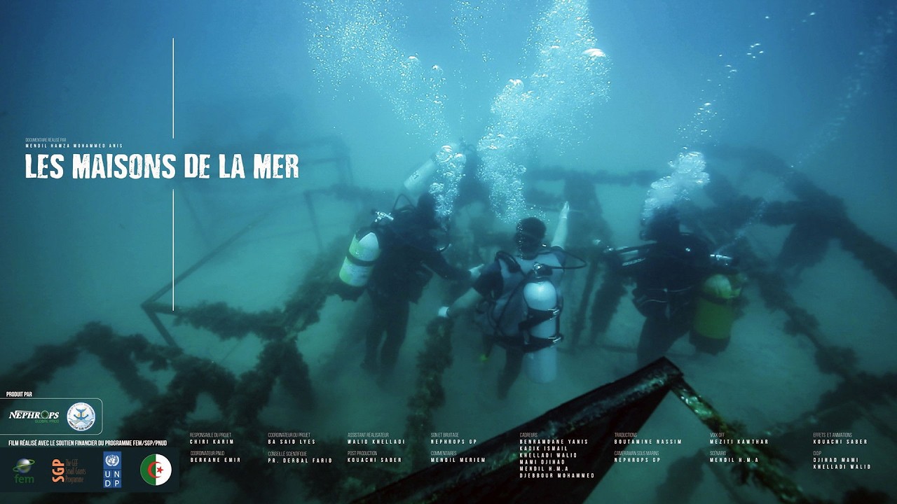 Miniature de la vidéo Les Maisons De La Mer (2017) du film Les Maisons De La Mer