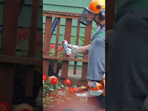 Day 4 of secretly sniping my neighbor #airsoft