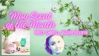 May Scent & Warmer of the Month First Sniffs + Warm Reviews