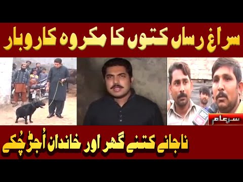 The Nefarious Business of Sniffer Dogs in Pakistan is Exposed | Iqrar Ul Hassan | Sar e Aam