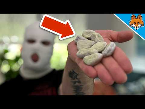 DAS machen EINBRECHER bevor sie bei dir einbrechen💥(Achte UNBEDINGT darauf)🤯