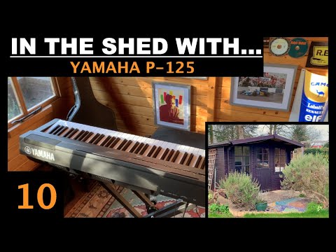 Reasons NOT to buy a Yamaha P-125 | In the shed with... (ep#10)