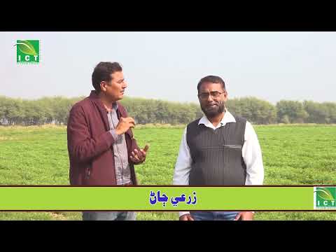ICT Agriculture Extension