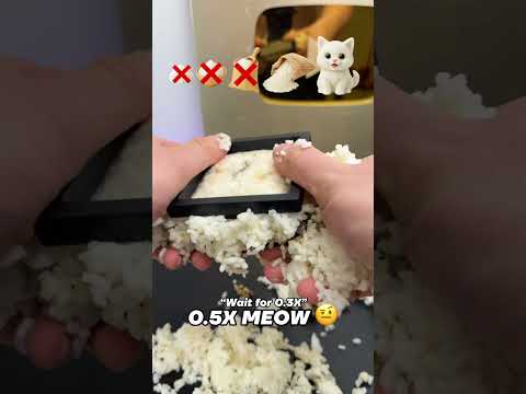 Will I find something that fits?🤔