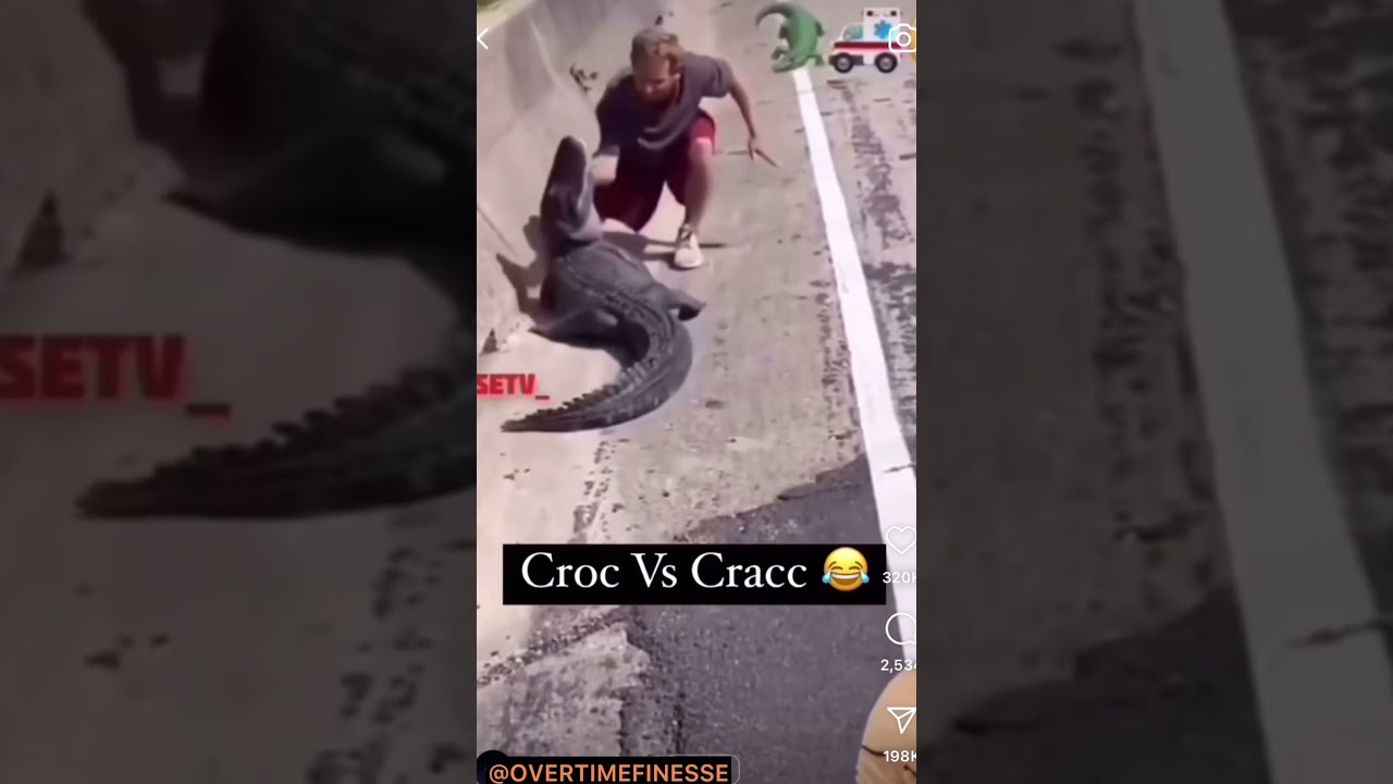 Crackhead Vs Croc 😭😭😭 #fyp #crackhead #funny #crocodile