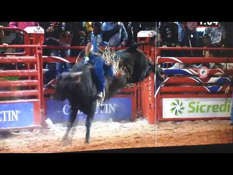 Robson Aragão (Spiderman) Barretão (23/08 2019)