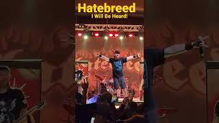 Macho Man crowd surfs to Hatebreed! Hartford, CT 10/28/22 #hatebreed #shorts #moshpit #hardcore