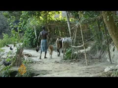 Bangladesh hit by anthrax outbreak