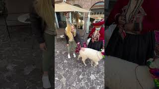 Spend the Morning with Us at the Palacio Del Inka in CUSCO, Peru 🇵🇪 #shorts
