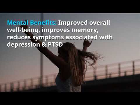 Yoga For Beginners | Beginners Yoga Near Me