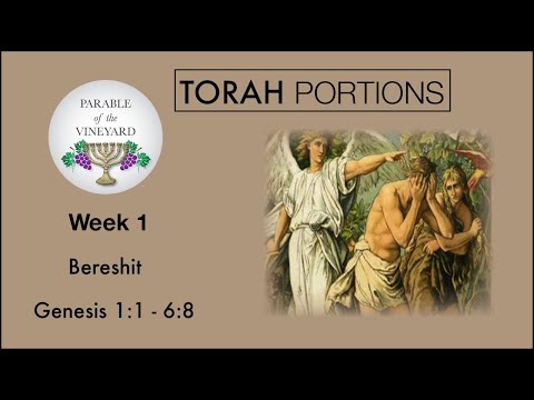 (Part 1) Torah Portions - Week 1 - Bereshit | בְּרֵאשִׁית l “In The Beginning” - W/ PoTV