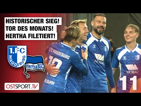 Historic victory! Goal of the month! Hertha fillets: Magdeburg II vs. Hertha II | Regionalliga No...