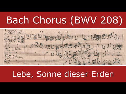 Bach's own score - Lebe, Sonne dieser Erden (J. S. Bach Foundation)