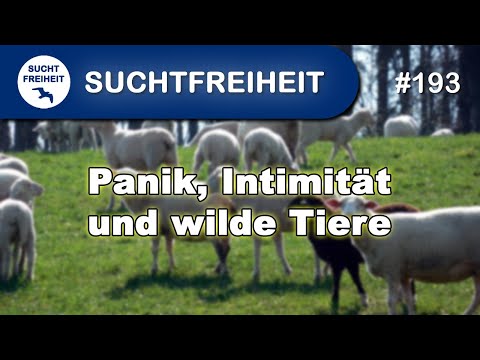 Panik, Intimität und wilde Tiere