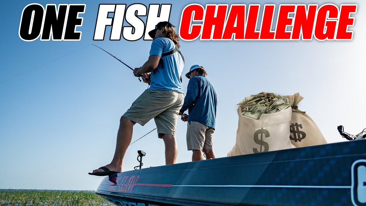 Taking the ONE Fish Challenge for