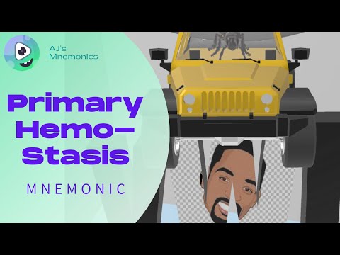 Primary Hemostasis: FUN and SIMPLE!