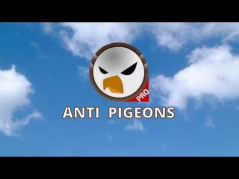 Anti Pigeons PRO Video