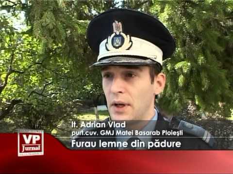 Furau lemne din padure