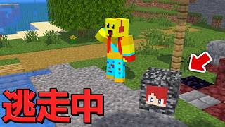 ブロックに変身はひみつにして逃走中した結果【まいくら・マインクラフト】