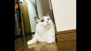 30分雑談