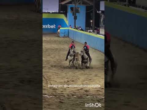 DAYANE PEREIRA GRANDE CAMPEÃ DO CAMPEÕES DOS CAMPEÕES NA ARENA PIXBET EM GURINHÉM-PB