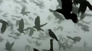 She Wants Revenge-This Is The End