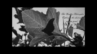 ▶ The Weekly Philosopher on Facebook Add1