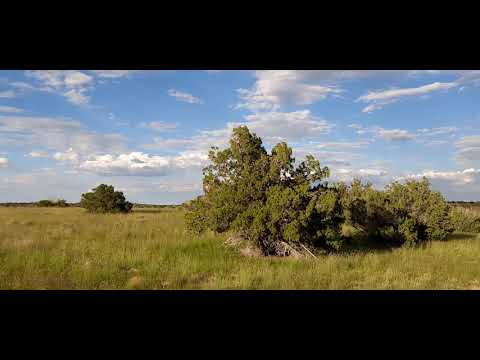 5.2 Acres on Northview Road in Chambers, Arizona