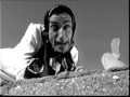 Hai Mangiato - RezzaMastrella