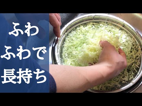 サボイキャベツの保存: こうすることでキャベツの鮮度が長持ちします 植物