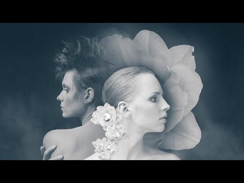 Visonia - Opal's Sunflowers (Full Album • 2016)