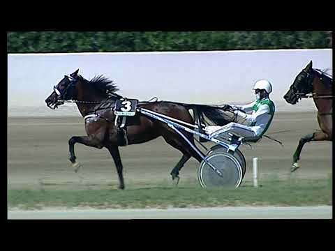 Napoli Trotto 03/09/2021 - 1ª corsa