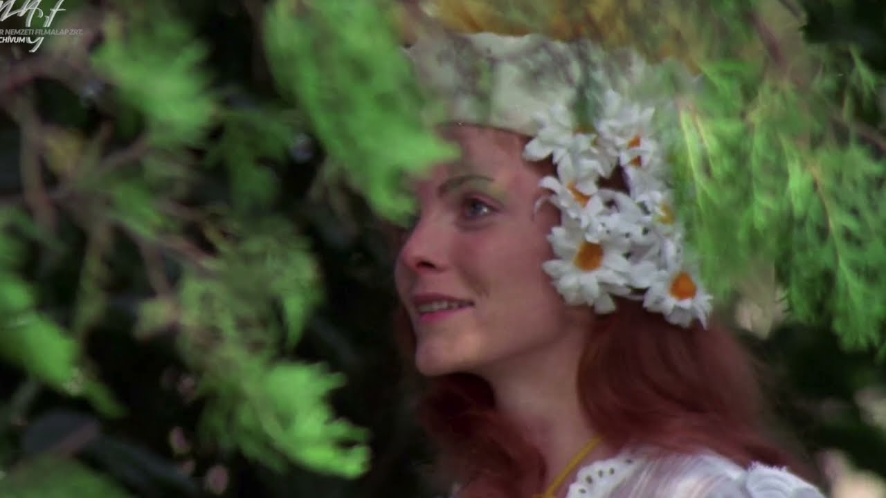 FILM OF THE DAY: Szindbád (1971)