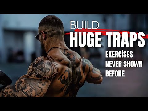 The TOP 4 EXERCISES to SCULPT Your TRAPS at the GYM!