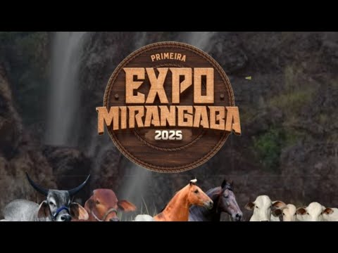 Leilão ASJ na EXPO MIRANGABA 22.11.2025 – Grandes Negócios Hoje em Mirangaba!