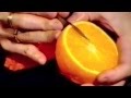 Orange Simple Flower - Beginners Lesson 14 By ...