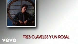 Juan Gabriel - Tres Claveles y Un Rosal ((Cover Audio)(Video))