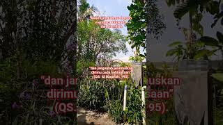 Download lagu Janganlah jerumuskan dirimu pada kebinasaan #shorts mp3
