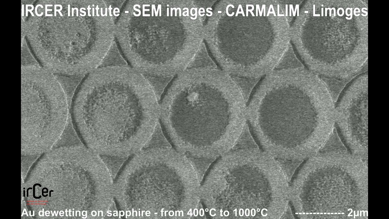 Au de-wetting on Al2O3 substrate: A live Scanning Electron Microscopy observation.
