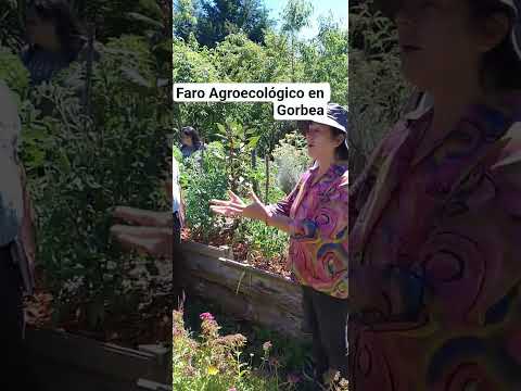 Gira a Faros Agroecológicos , Región de la Araucanía.