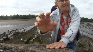 preview picture of video 'Cramond Island - Island 13 of our 100 island adventure.'