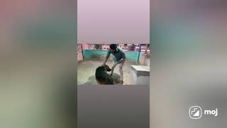 All pet service available #dog #hobby