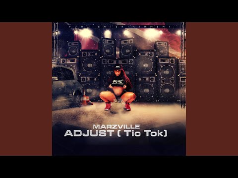 Adjust (Tic Tok)