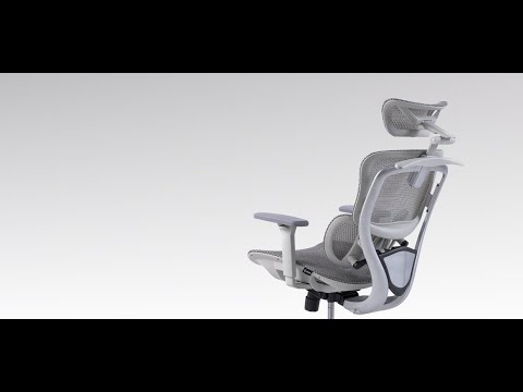 Ghế công thái học Gami Crom Pro