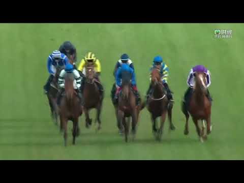 2022 Qipco British Champions Long Distance Cup G2 - Trueshan (真章) - H.Doyle