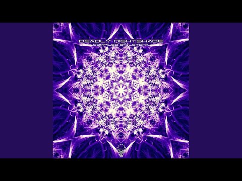 Look What Ive Created (Original Mix)