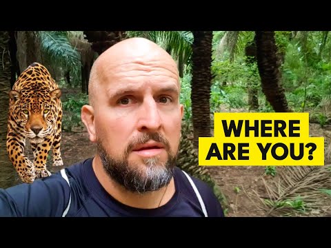 Searching for Jaguars in Brazil's tropical wetlands (The Pantanal)