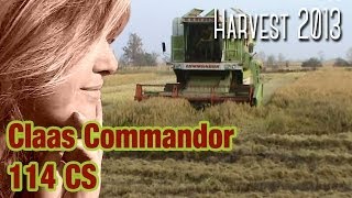 preview picture of video 'Claas Commandor 114 CS and lodged rice'