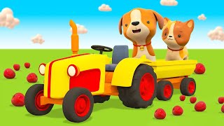 Learn animals for kids & Helper Cars for kids. Baby cartoons. Full episodes of car cartoons for kids