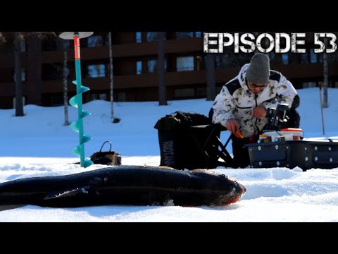 Kirjolohen pilkintää kaikuluotaimen avulla 2021 | 4K | Erämaiden Kulkijat